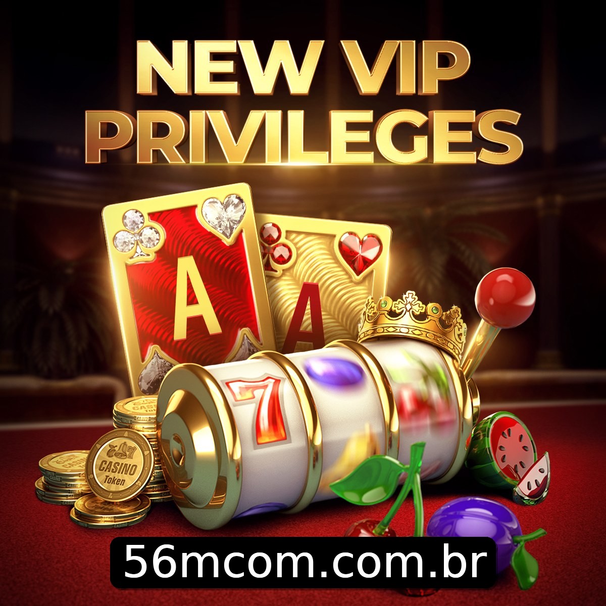 Programa VIP 56m
